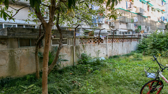 浦东南路3649弄外景图