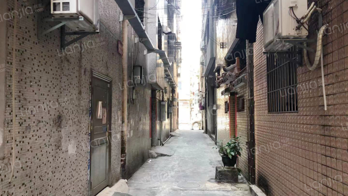 育英南路东三巷外景图