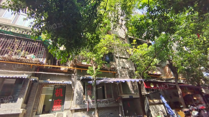 内姜街71号外景图