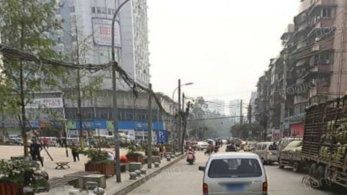 荷花名都外景图