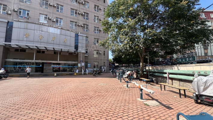 黄金岁月外景图