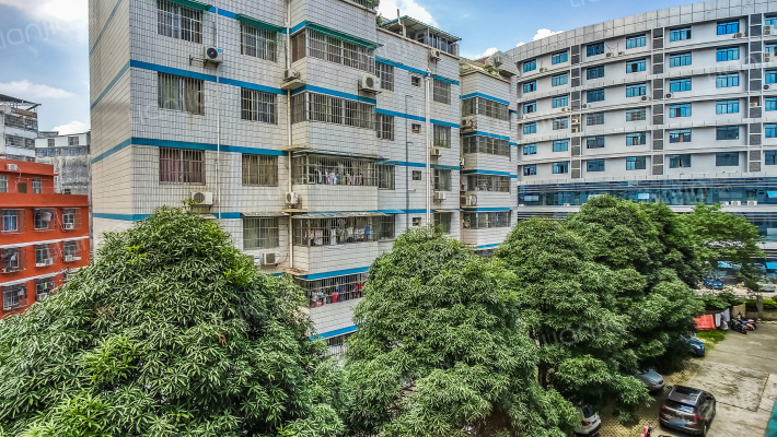 广西水产汽运公司生活区外景图