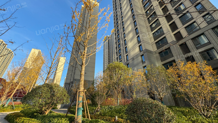 碧桂园云顶一期外景图