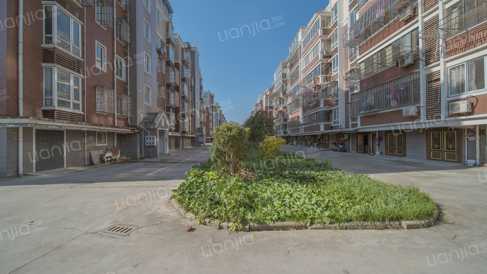 金欣佳园E区外景图