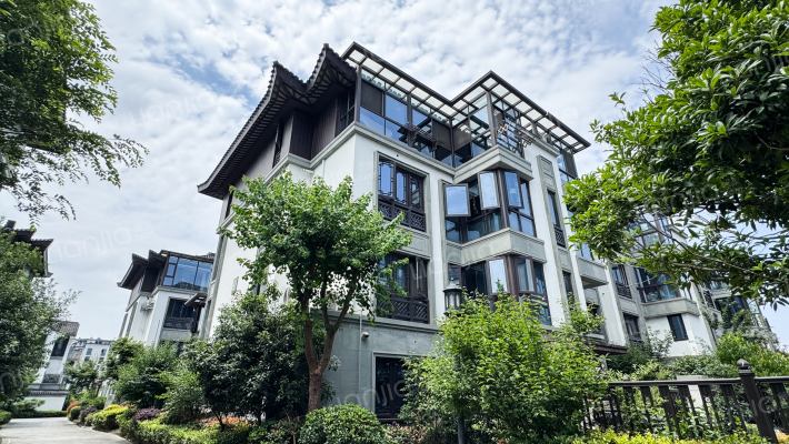 祥生君临府外景图