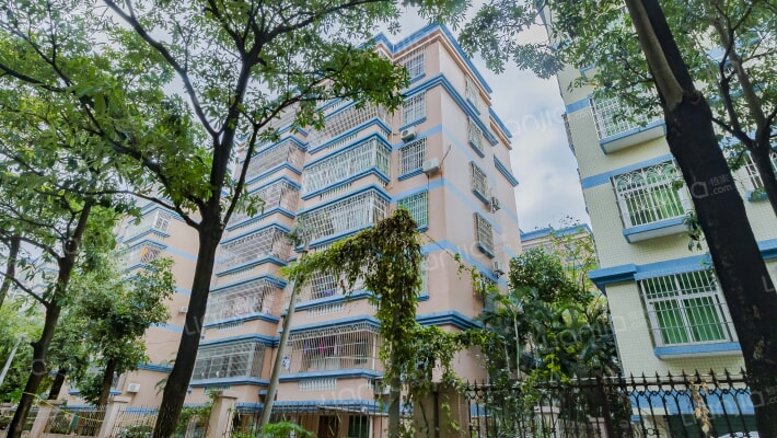 景民路教师楼外景图