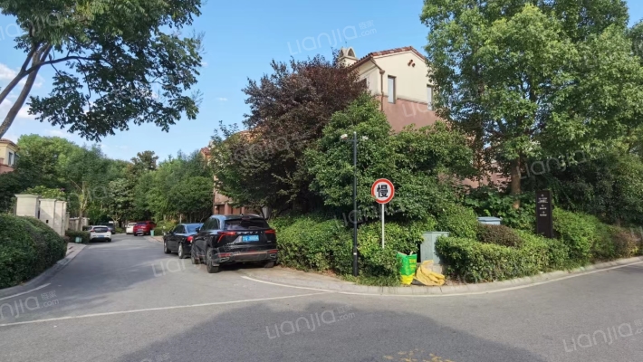 景枫加州城外景图