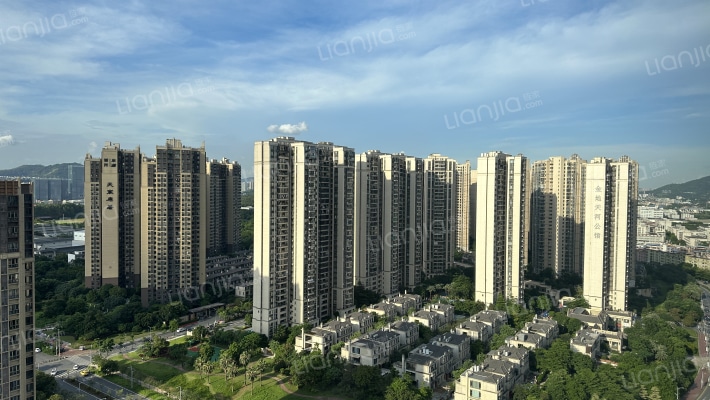 金地天河公馆外景图