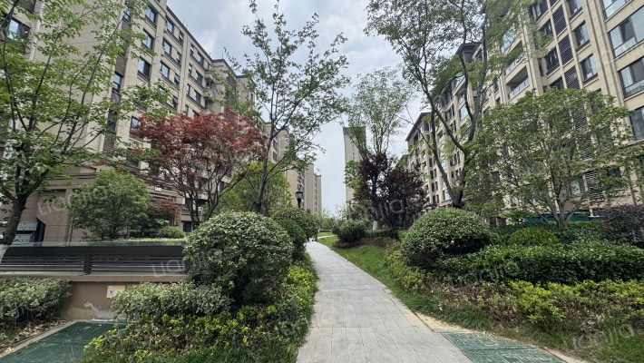 弘阳通银棠樾锦园外景图