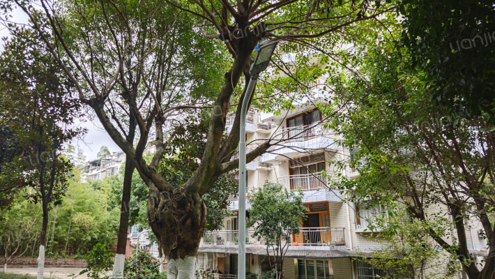 安庆路408号外景图