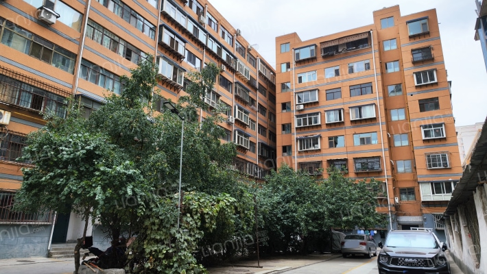 工交局家属院外景图