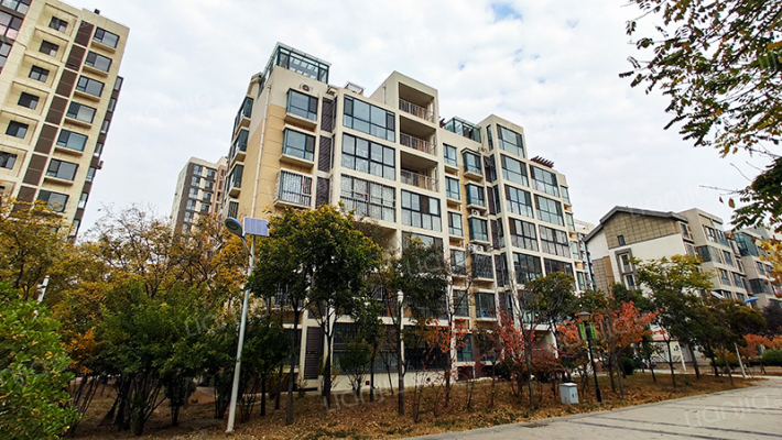 东风馨苑外景图