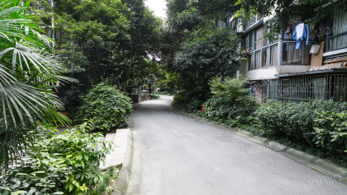 成南锦秀外景图