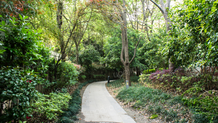 一品漫城(一期)(别墅)外景图