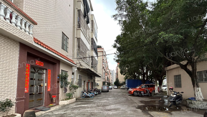 伦教荔村单家外景图