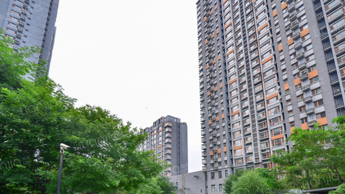 锦联左岸外景图