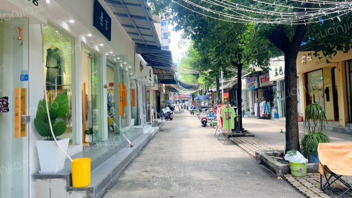 江夏区纸坊中心港外景图