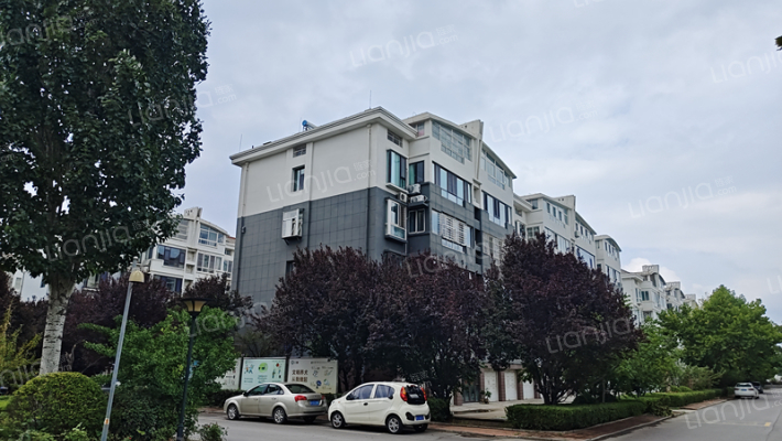 九龙居山水美墅外景图