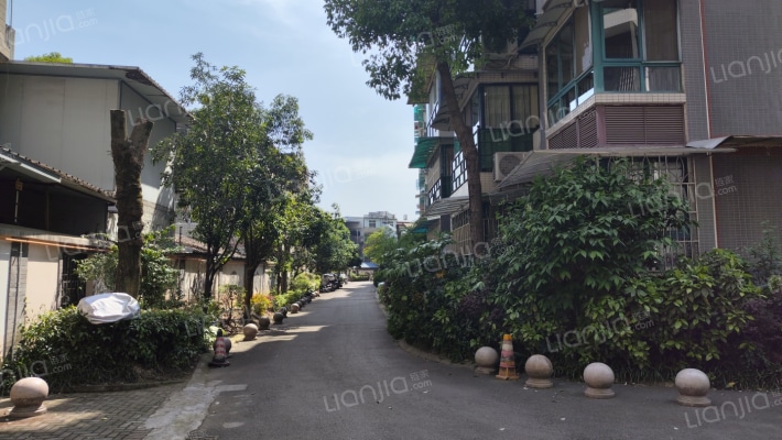 愿景滨河春晓北院外景图