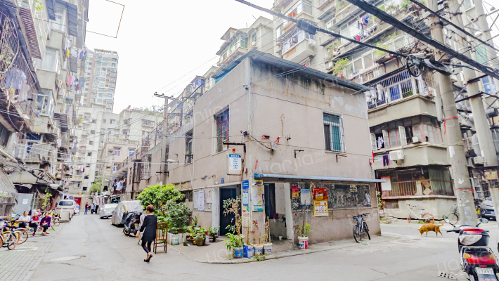 荷花池村外景图