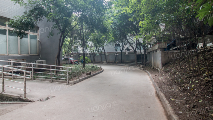 巴蜀实验学校集资楼外景图