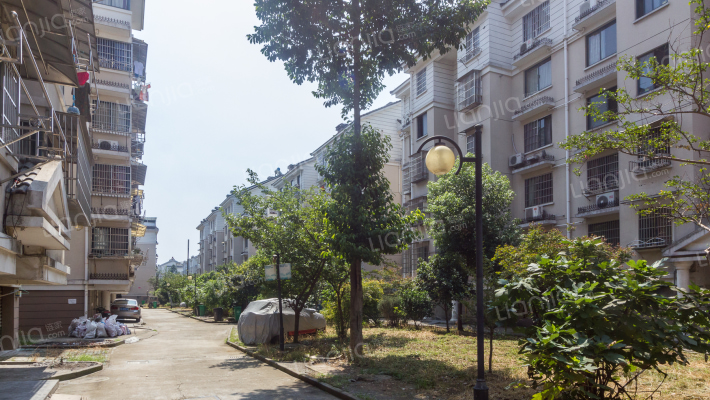 南江枫林西区外景图