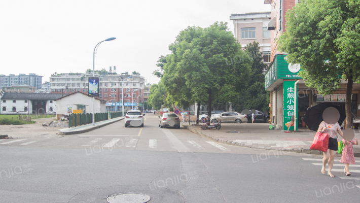 黄杨梅路外景图