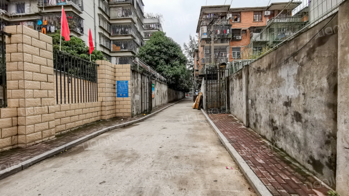 致力新村外景图