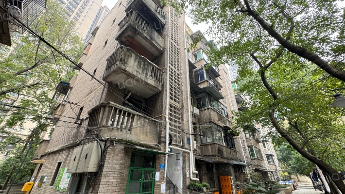 新村路98号外景图