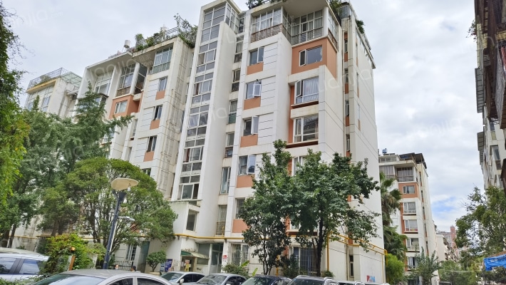 实力五星彩园外景图