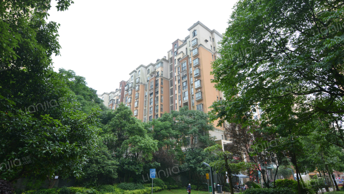 永实蔷薇国际外景图