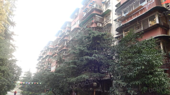 双林路332号外景图