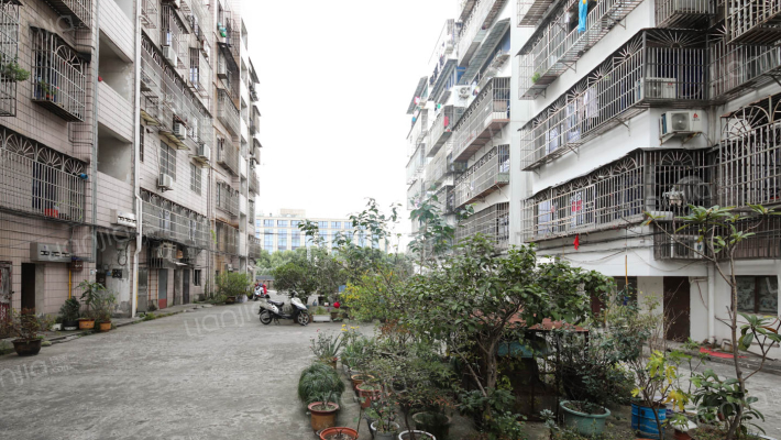 人民中路外景图