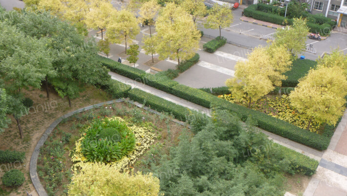 天天家园外景图