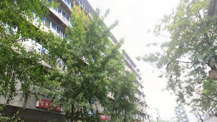 支矶石街6号外景图