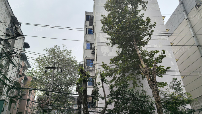 庆云北街59号外景图