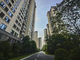 九里峰山花语林