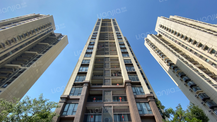 美的鹭湖森林度假区外景图