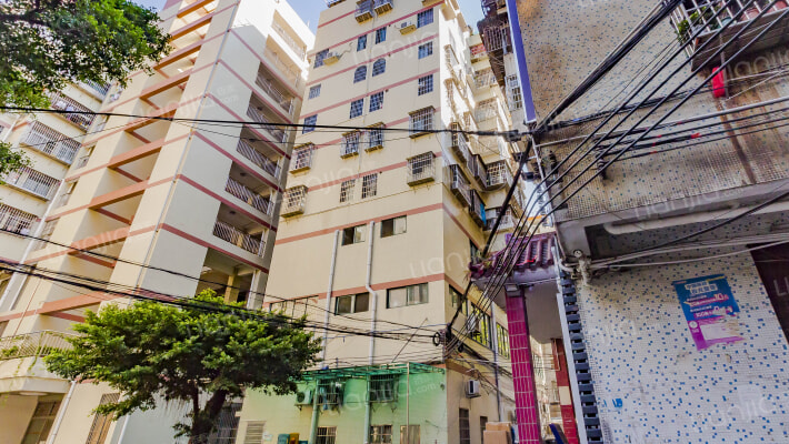 乐嘉花园外景图