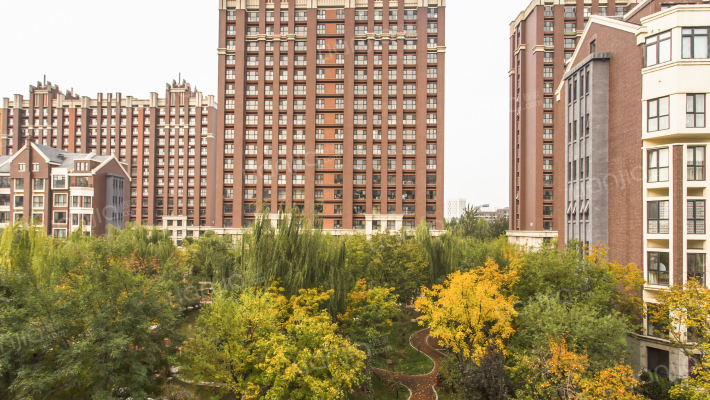 徜徉嘉园8号院外景图