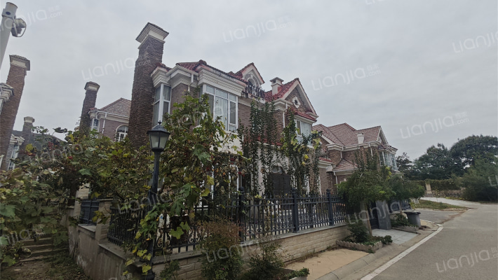 奥克兰风情小镇外景图