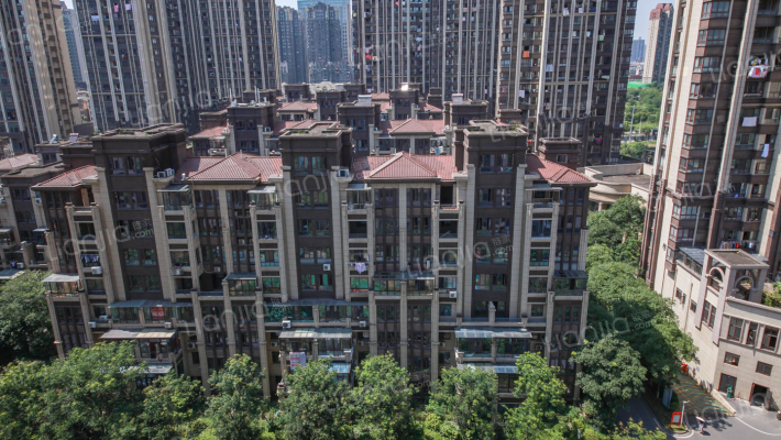 滨湖花城外景图