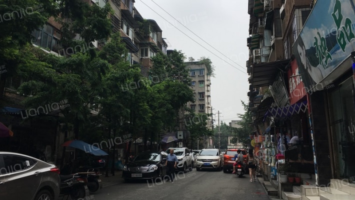 抚琴东北路外景图