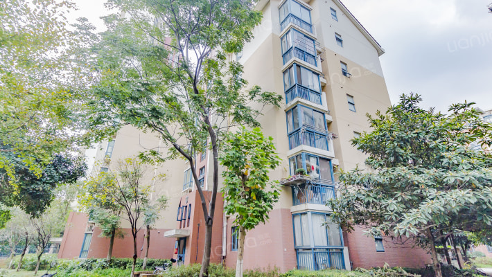 香江花城滨江苑外景图