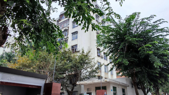 振东区政府宿舍外景图