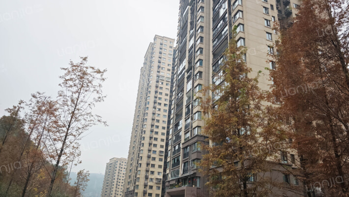 金科观澜三期外景图