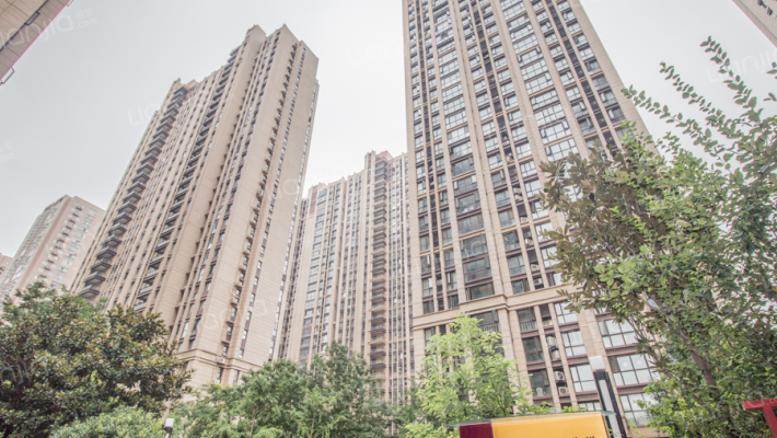 大观国际居住区外景图