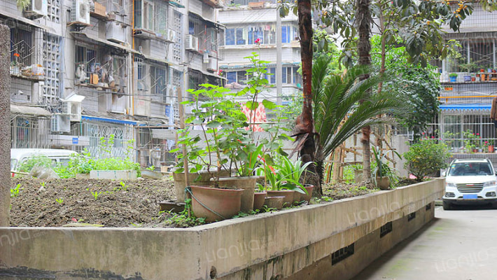 树蓓巷1号外景图