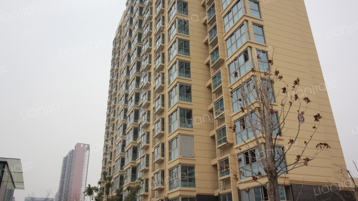 鹏起紫金花苑外景图