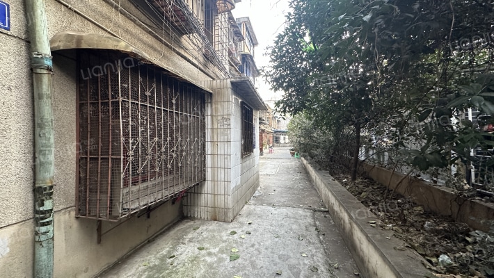 君子巷88号外景图